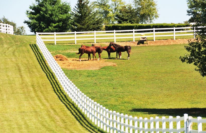 Equine Fence Installation
