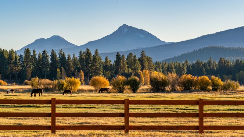 Ranch-Style Farm Fence